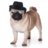 ShadowlessPug