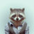 SpiffyRaccoon