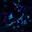BluLightShow