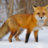 LordFoxxie
