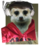 Brehdun