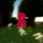 rogier