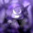 iSweaTz_