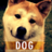 ShibaInu