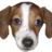 FrankerZ