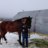 TheHorseDude