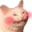 CoraCat