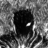 Guts