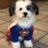 PrivateMoser