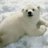 Antarctic