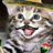 Dillcat