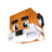 iiIcy