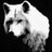 DirewolF_ZA