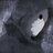 Marlexx