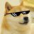 itsDoge
