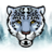 TigerSetups