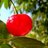 AlezHD