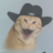 Riipple
