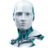 AmazingLicense