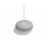 GoogleHome