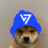 CVortex