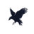 RavenAdvantages