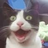 ScaredDev