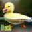 DuckSyntale