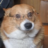 TheRealDog