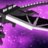 Ender_Bros