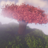 Endertorinado