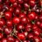Cherry232