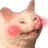 Vitasan
