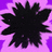Avey