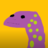 Lizard Setups
