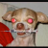 soraxxd
