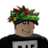 IgnShadow