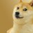 Dogema