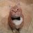 ByteMonkey