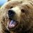 DrunkGrizzlyHD