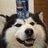 Doggo20