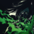 XDevelopment