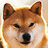 Shiba_PL