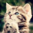 Dawson_