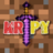 wiidorpy