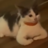 TakeASeatCat