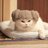meowkitty123