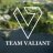 Team Valiant