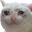 ilyLoCu01