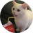 milko42